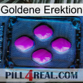 Golden Erection 04